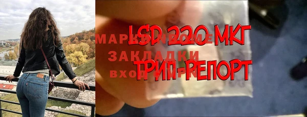 гашик Аркадак