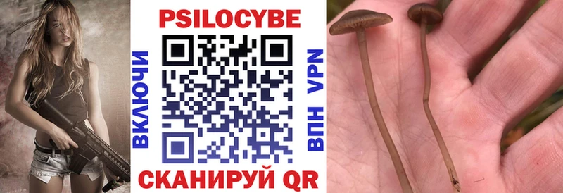 магазин продажи наркотиков  MEGA ссылка  Псилоцибиновые грибы прущие грибы  Ступино 